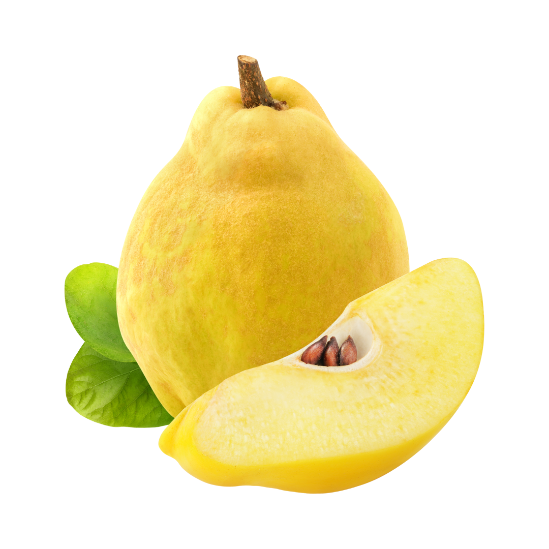 חבושים